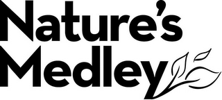 NATURE'S MEDLEY logo