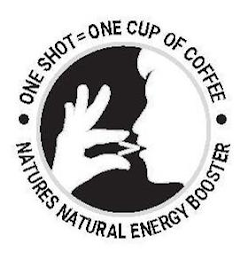 NATURES NATURAL ENERGY BOOSTER ONE SHOT= ONE CUP OF COFFEE logo