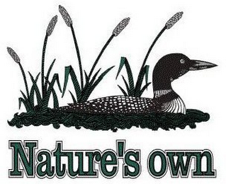 NATURE'S OWN logo