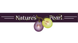NATURE'S PEARL logo