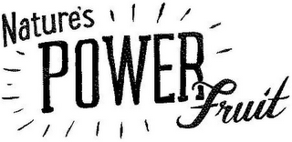 NATURE'S POWER FRUIT logo