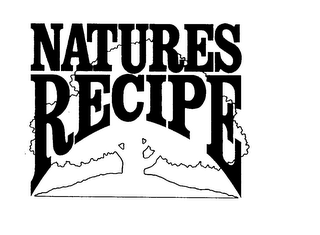NATURES RECIPE logo