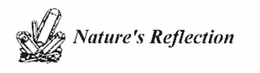 NATURE'S REFLECTION logo