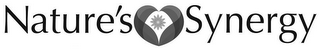 NATURE'S SYNERGY logo