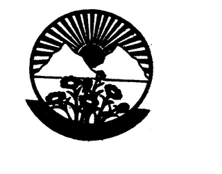 NATURE'S TOUCH logo