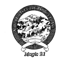 NATURES TREASURE PRODUCTS, INC. MAGIC 21 logo