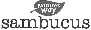 NATURE'S WAY SAMBUCUS logo