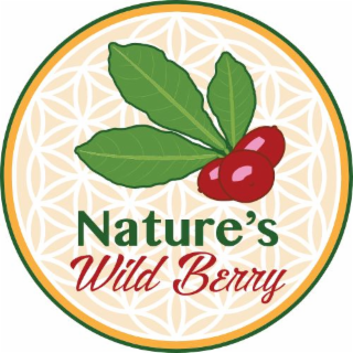 NATURE'S WILD BERRY logo