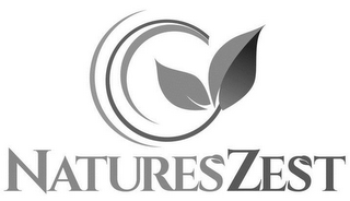 NATURESZEST logo