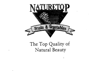 NATURETOP FRUITS & VEGETABLES THE TOP QUALITY OF NATURAL BEAUTY logo