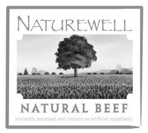NATUREWELL NATURAL BEEF MINIMALLY PROCESSED AND CONTAINS NO ARTIFICIAL INGREDIENTS logo