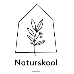 NATURSKOOL logo