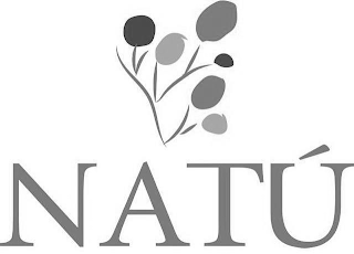 NATÚ logo