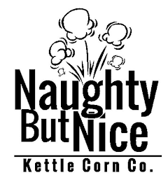 NAUGHTY BUT NICE KETTLE CORN CO. logo