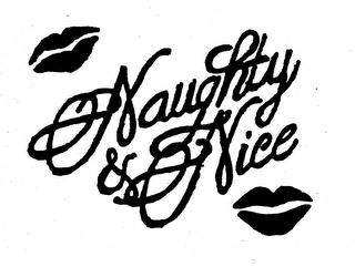 NAUGHTY & NICE logo