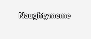 NAUGHTYMEME logo