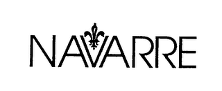 NAVARRE logo