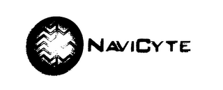 NAVICYTE logo