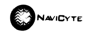 NAVICYTE logo