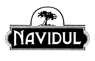 NAVIDUL logo
