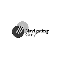 NAVIGATING GREY logo