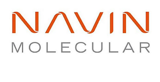 NAVIN MOLECULAR logo