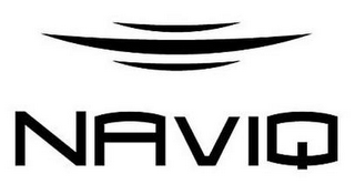 NAVIQ logo