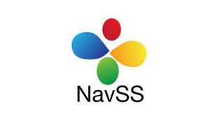 NAVSS logo
