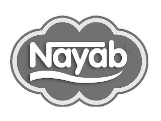 NAYAB logo