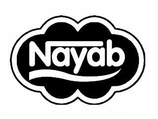 NAYAB logo