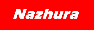 NAZHURA logo