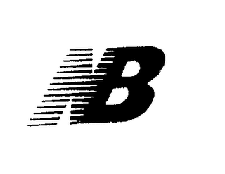NB logo