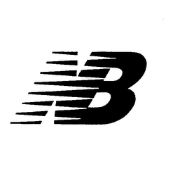 NB logo