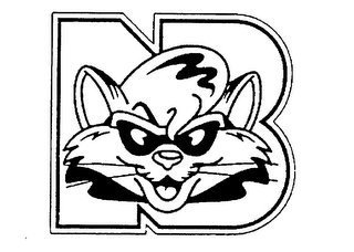 NB logo