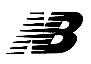 NB logo