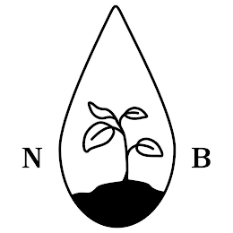 NB logo