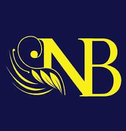 NB logo