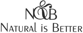N&B NATURAL IS BETTER logo