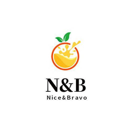N&B NICE & BRAVO logo