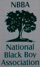 NBBA NATIONAL BLACK BOY ASSOCIATION logo