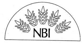 NBI logo