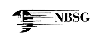 NBSG logo