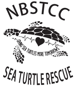 NBSTCC, GIVING SEA TURTLES MORE TOMORROWS,SEA TURTLE RESCUE logo