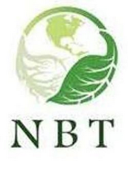 NBT logo