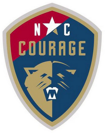 NC COURAGE logo