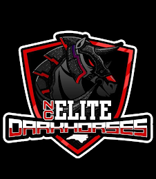 NC ELITE DARKHORSES logo