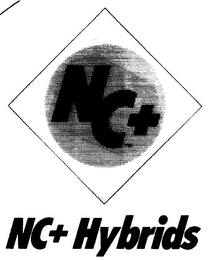 NC+ HYBRIDS logo