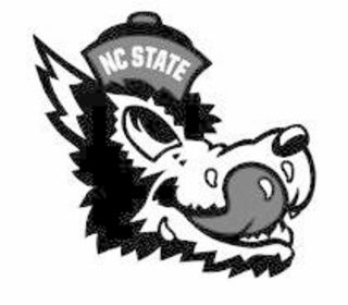 NC STATE logo