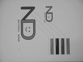 ND NATURAL DOWN logo