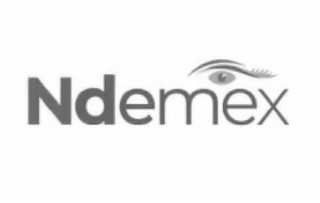 NDEMEX logo
